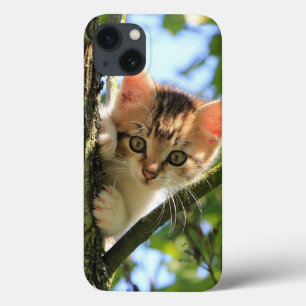 Case-Mate iPhone Case Chat, Nature, Kitten
