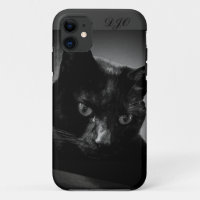Chat noir et monogramme curieux