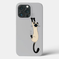 Chat siamois suspendu | Chat drôle avec yeux bleus