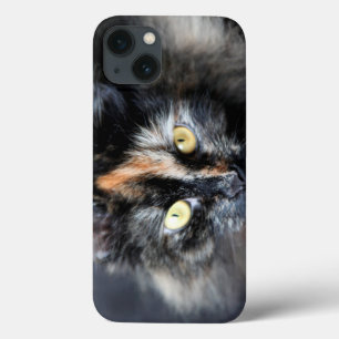 Case-Mate iPhone Case Chat sibérien
