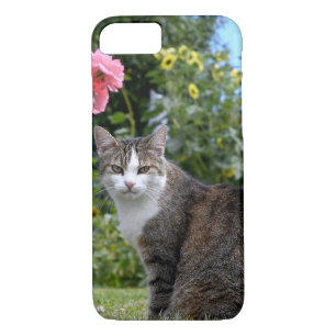 Coque Case-Mate Pour iPhone chat tabby dans la cour