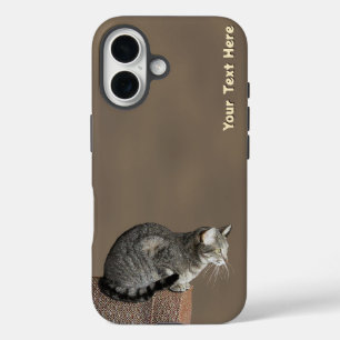 Coques iPhone 16 Chat Tabby Gris Fumé
