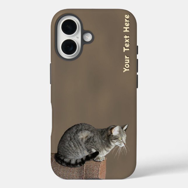 Coques Case-Mate iPhone Chat Tabby Gris Fumé (Verso)