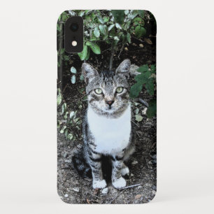 COQUE Case-Mate POUR iPhone CHAT TURC NOIR ET BLANC RONIN
