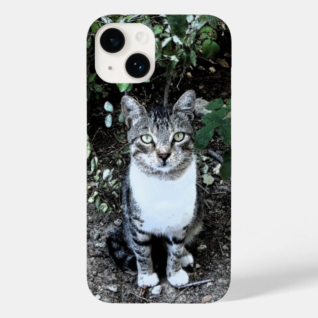 COQUES Case-Mate iPhone CHAT TURQUE NOIR ET BLANC RONIN (Verso)