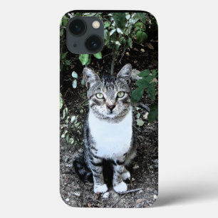 COQUES POUR iPhone CHAT TURQUE NOIR ET BLANC RONIN