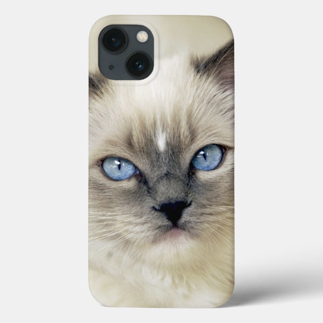 Coques Case-Mate iPhone Chaton Ragdoll (Verso)