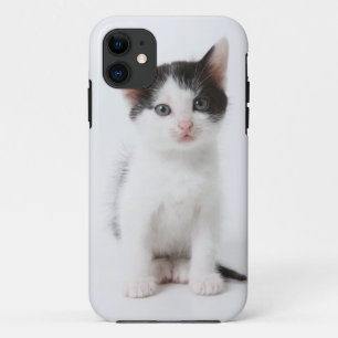 Coques Pour iPhone Chaton repéré par noir