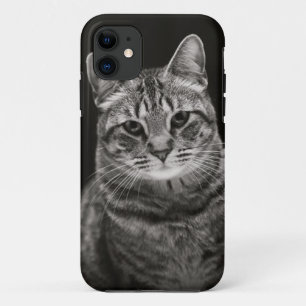 Case-Mate iPhone Case Chaton tigré noir