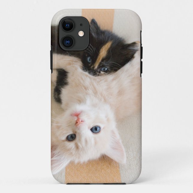 Coques Case-Mate iPhone Chatons blancs et noirs (Dos)
