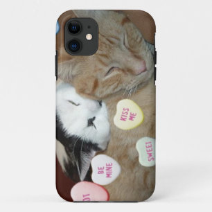 Coque iPhone 11 Chats de la Saint Valentin