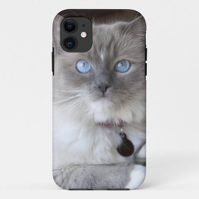 Coques Case-Mate iPhone Chatte Ragdoll (Dos)