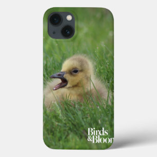 iPhone 13 Case Chauffage à l'oie canadienne