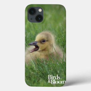 Case-Mate iPhone Case Chauve-souris canadienne