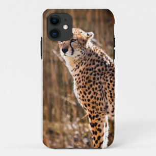 Etui iPhone Case-Mate Cheetah