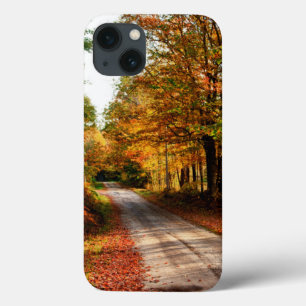 Etui iPhone 13 Chemin de bois avec feuillage de chute