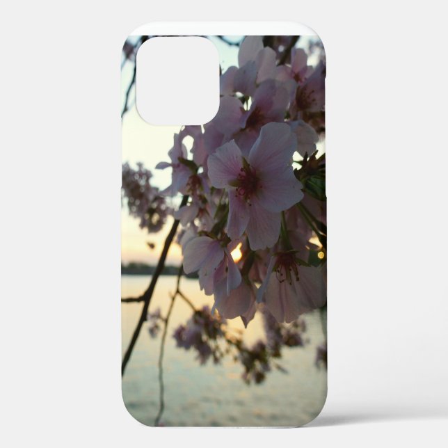 Coques Case-Mate iPhone Cherry Blossom Sunset à Washington DC (Verso)