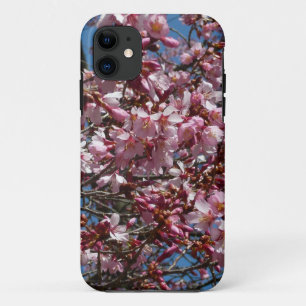 Coque iPhone 11 Cherry Blossoms et Blue Sky Spring Floral