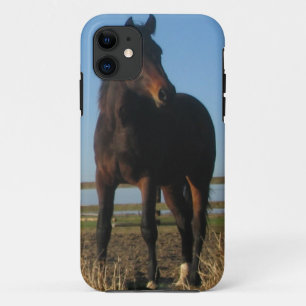 Case-Mate iPhone Case Cheval de baie