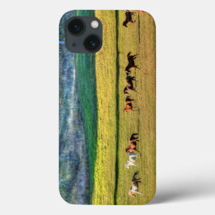 Etui iPhone 13 Cheval de course Herd & Ranch Pasture Equine Photo