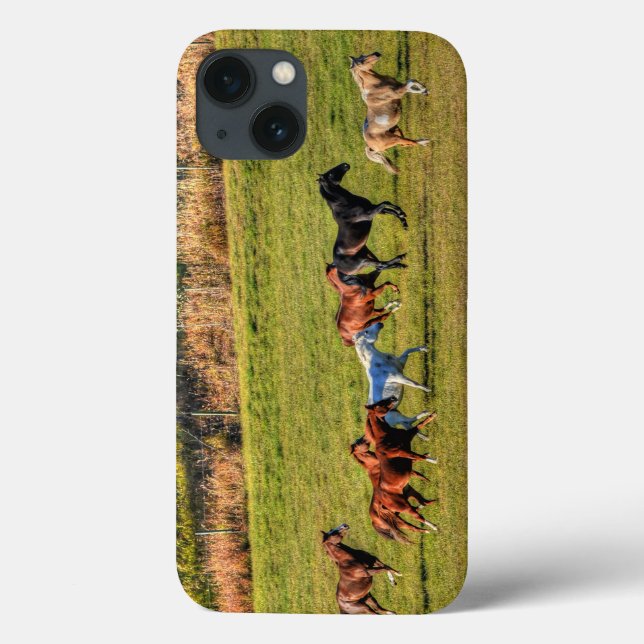 Coques Case-Mate iPhone Cheval de course Herd & Ranch Pasture Equine Photo (Verso)