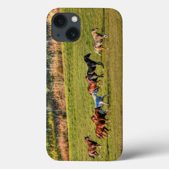 Coques Case-Mate iPhone Cheval de course Herd & Ranch Pasture Equine Photo (Verso)