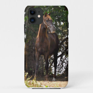 Coque iPhone 11 Cheval de Morgan