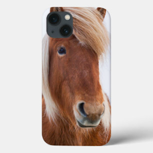 Coques Pour iPhone Cheval islandais pendant l'hiver 2