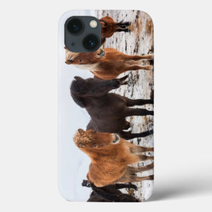 iPhone 13 Case Cheval islandais pendant l'hiver sur l'Islande