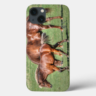 Etui iPhone 13 Chevaux - American Western Theme