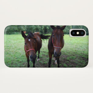Coque iPhone X Chevaux au pâturage