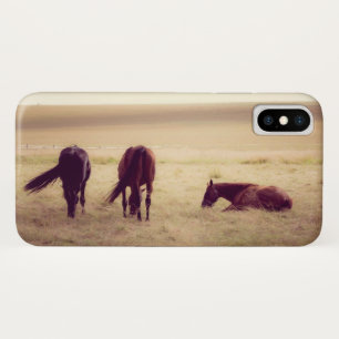 Coques Pour iPhone Chevaux au pâturage 002