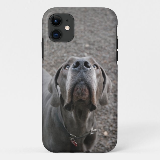 Coques Case-Mate iPhone Chien à l'oreille (Dos)