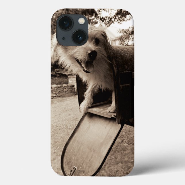 Coques Case-Mate iPhone Chien dans une boîte aux lettres (Verso)