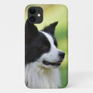 Case-Mate iPhone Case Chien de berger border collie noir et blanc