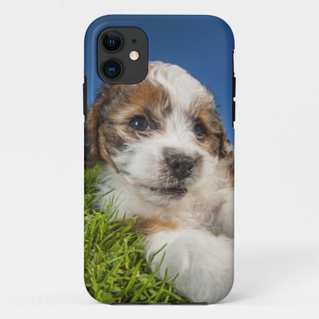 Coques Case-Mate iPhone Chien de chiot mou (Shitzu) (Dos)