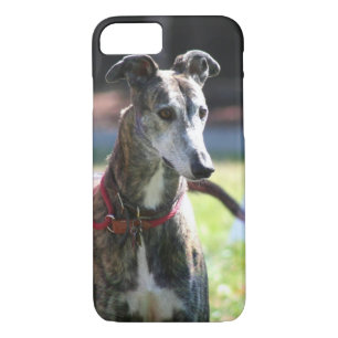Case-Mate iPhone Case Chien de lévrier
