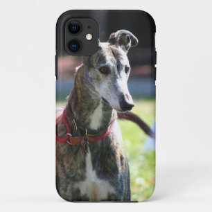 Coque iPhone 11 Chien de lévrier