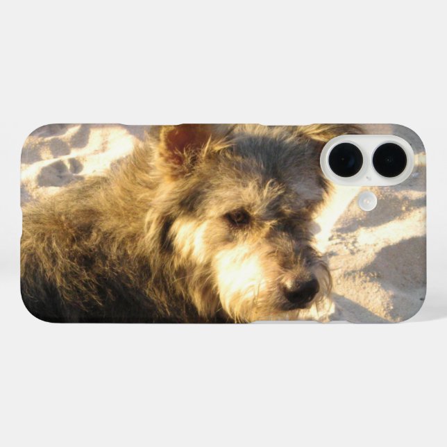 Coques Case-Mate iPhone Chien de plage thaïlandais (Verso (horizontal))