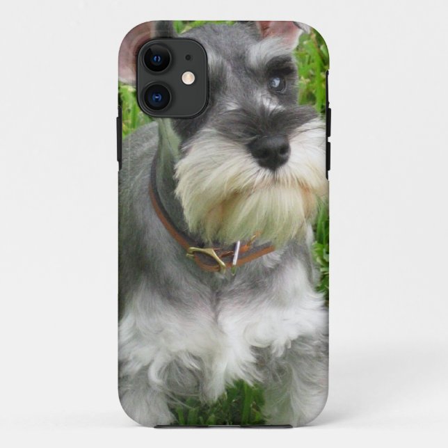 Coques Case-Mate iPhone Chien de Schnauzer (Dos)