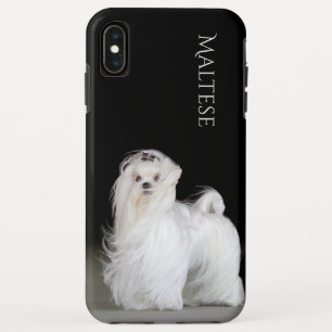 Case-Mate iPhone Case Chien maltais