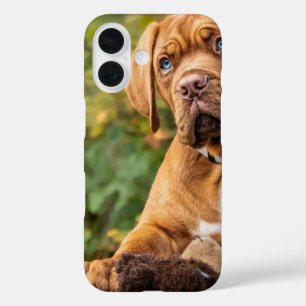Coques iPhone 16 Chien mignon