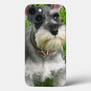 Etui iPhone 13 Chien Schnauzer