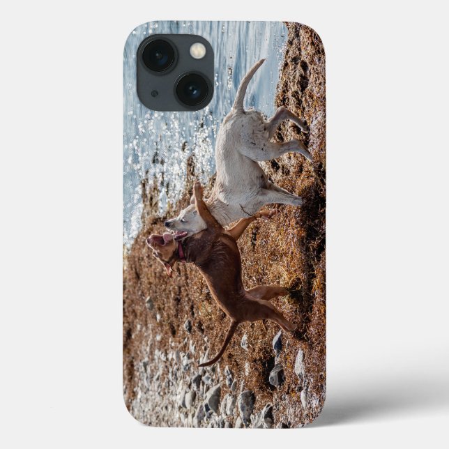 Coques Case-Mate iPhone Chiens sur la plage (Verso)