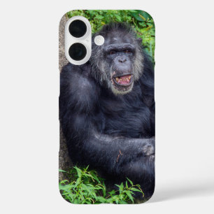 Coques iPhone 16 Chimpanzé En Plante Vert