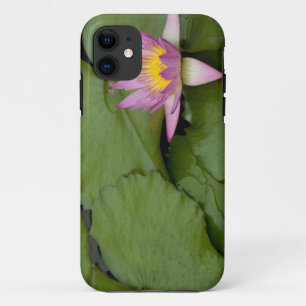 Coque iPhone 11 Chine, Hong Kong, Nouveaux Territoires. Chi Lin