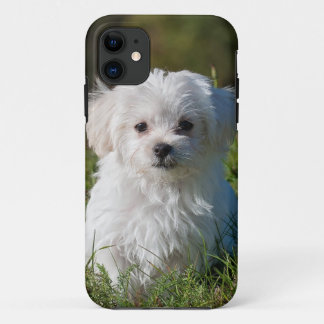 Etui iPhone Case-Mate chiot blanc en parc