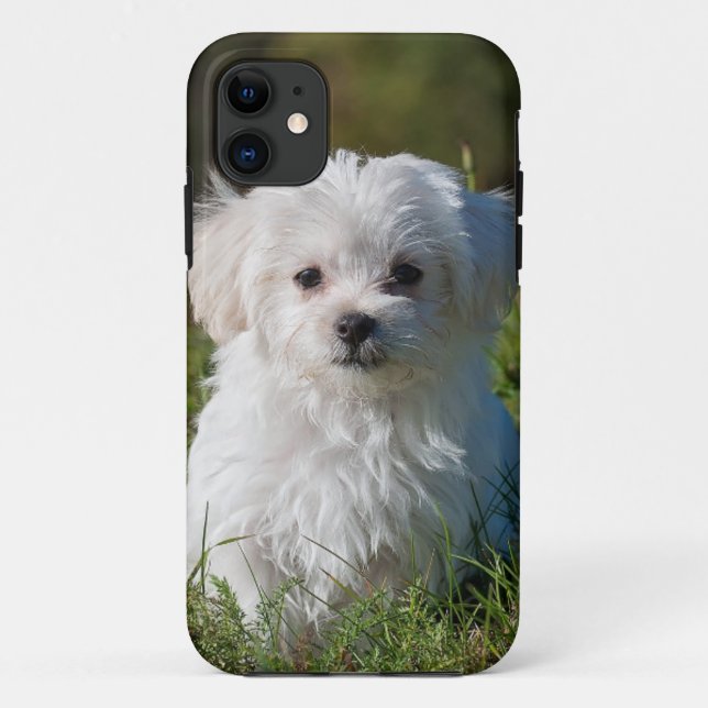 Coques Case-Mate iPhone chiot blanc en parc (Dos)