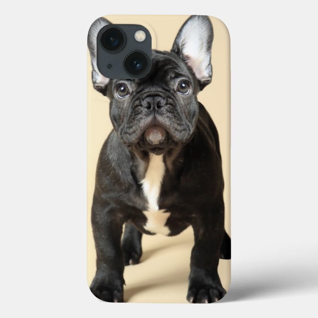 Coques Case-Mate iPhone Chiot de bouledogue français (Verso)
