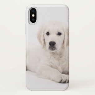Coque iPhone X Chiot de golden retriever